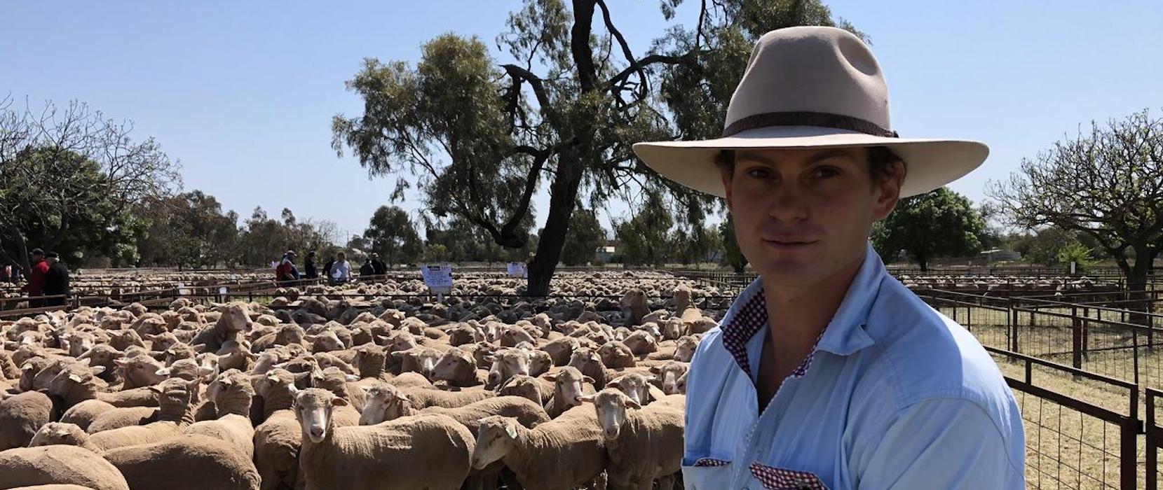 Young farmer with his sheep